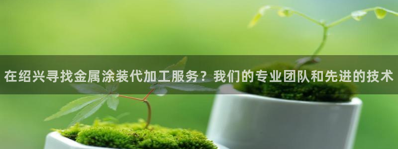 美高梅老板何超琼