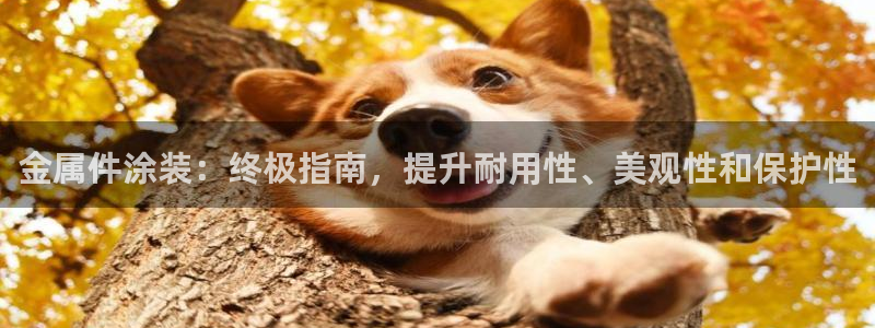 美狮美高梅酒店房间