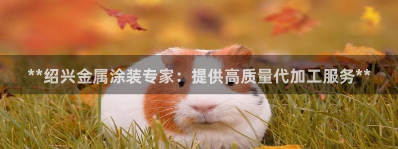 美高梅官方安卓版中文版下载安装