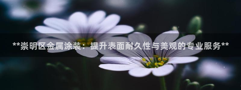 美狮美高梅酒店房间数量