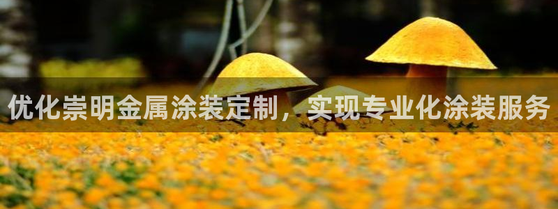 美高梅酒店房卡