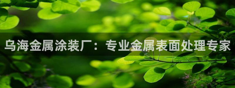 美狮美高梅酒店何超