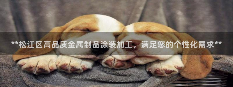 美高梅股份有限公司