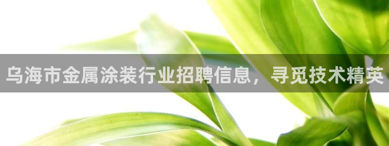 美高梅如亿掌