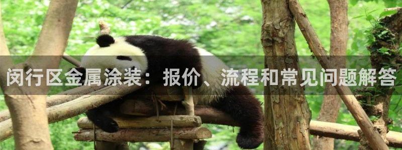 美高梅官网国际亮点