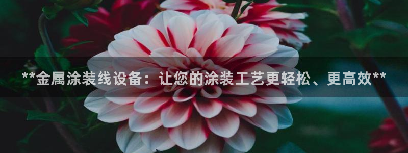 美高梅是哪个酒店集团