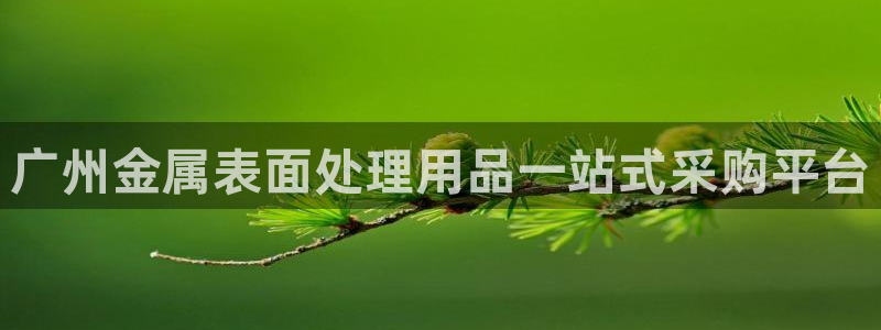 美高梅自助年卡