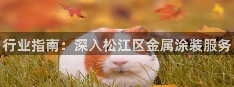 美高梅儿童托管收费吗