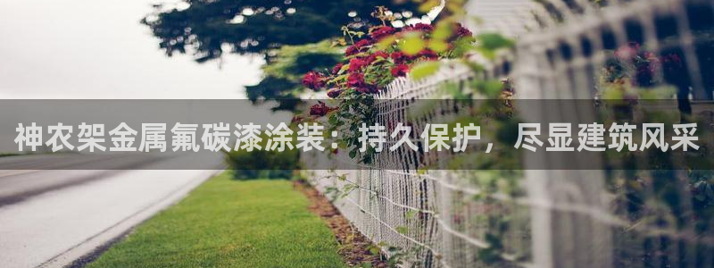 美高梅集团何超琼