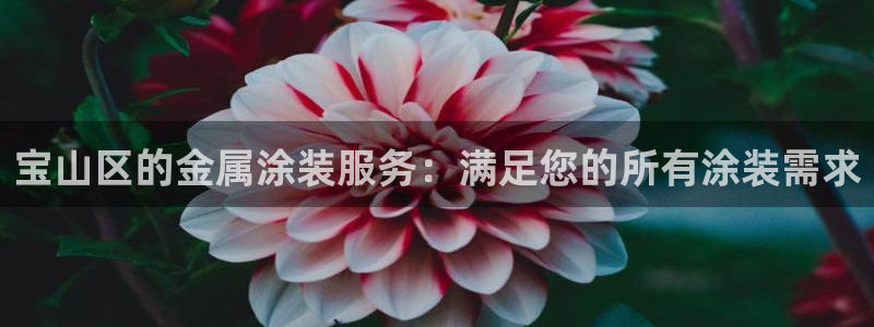 美高梅充值多少钱能提现到银行卡