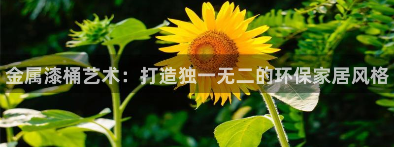 美高梅奶茶在哪里拿