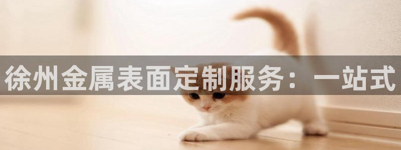 美高梅会员卡图片