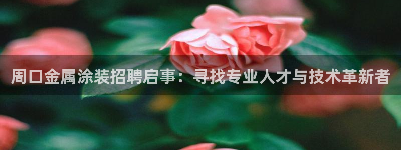 美高梅大酒店有多少分店