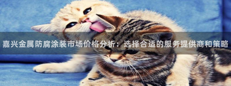 美高梅外套