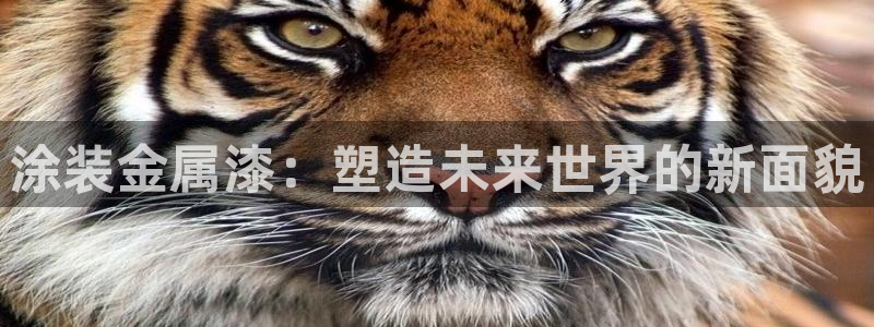 美高梅提现成功却没有到账