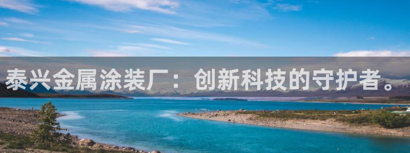 美高梅控股有限公司怎么样