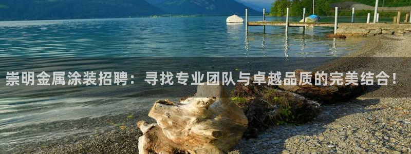 美高梅是谁的资产