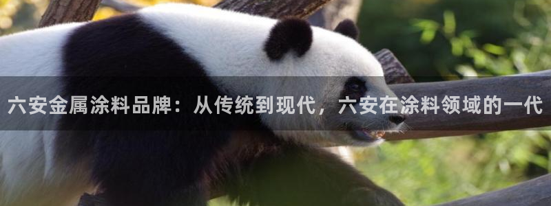 美高梅酒店澳门几星级