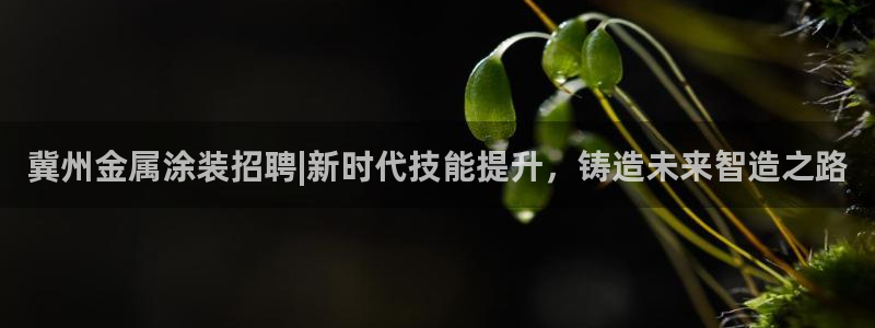 美高梅佛手柑是什么?