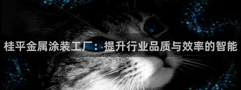 美高梅别墅在哪里
