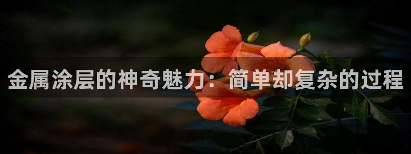 美高梅是做什么的