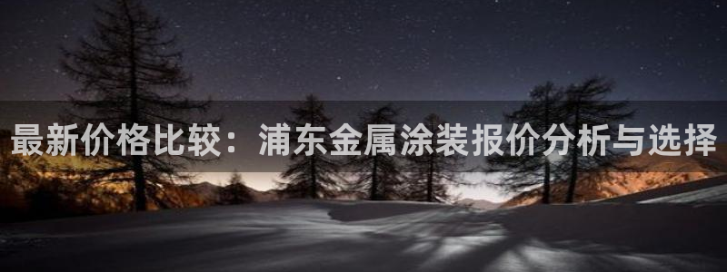 美高梅几星级酒店?