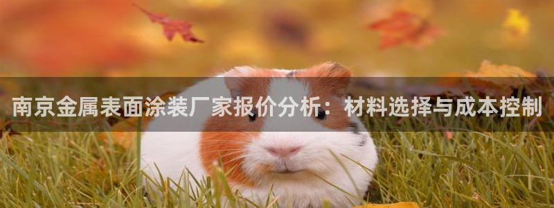 美高梅别墅户型图