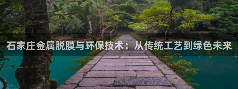 美高梅年收入