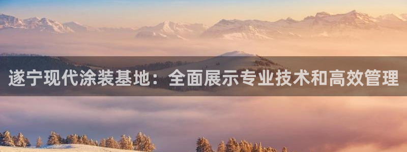 美高梅会员卡颜色区别