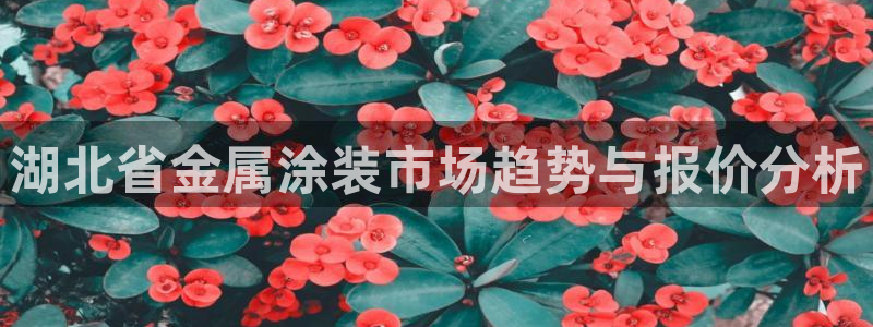 美高梅酒店哪些城市有