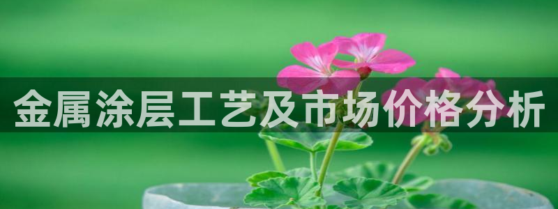 美高梅的老板