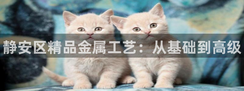 美高梅奶茶在哪里拿