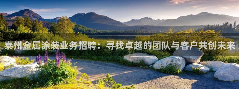 美高梅是上市公司吗
