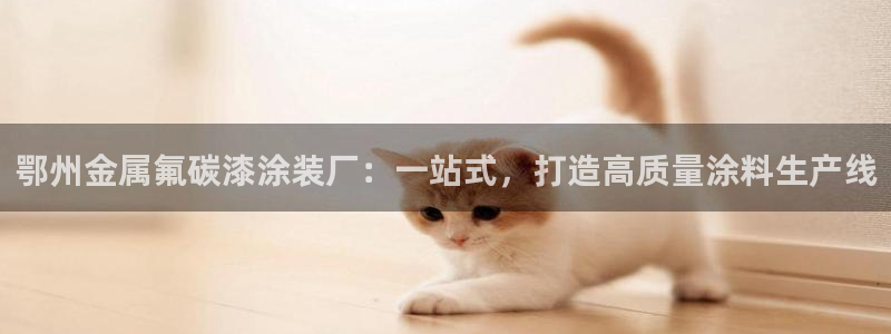 美高梅在澳门有几家