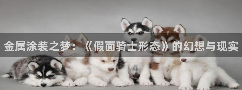 美高梅会员卡积分能在哪里使用