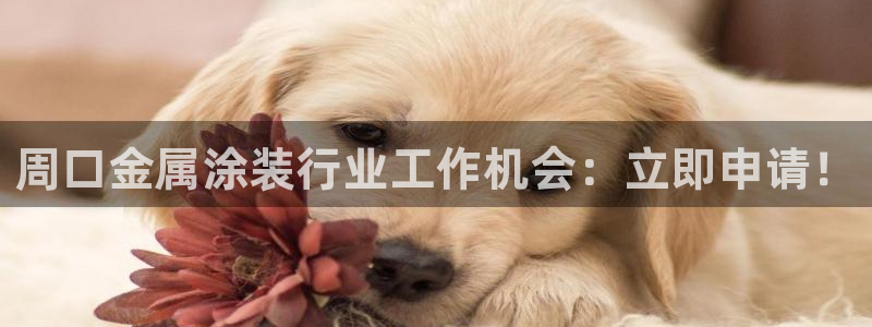 美高梅酒店品牌系列