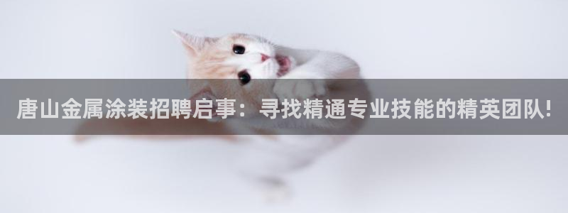 美高梅黑我钱怎么办