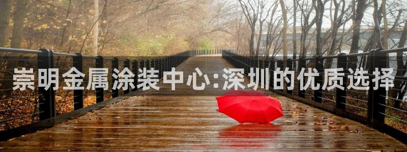 美高梅51平户型图