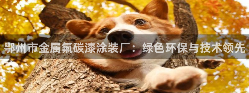 美狮美高梅酒店美艺大堂