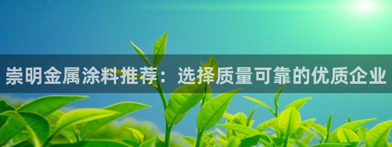 美高梅酒店百度百科：崇明金属涂料推荐：选