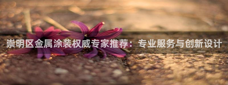 美狮美高梅酒店位置